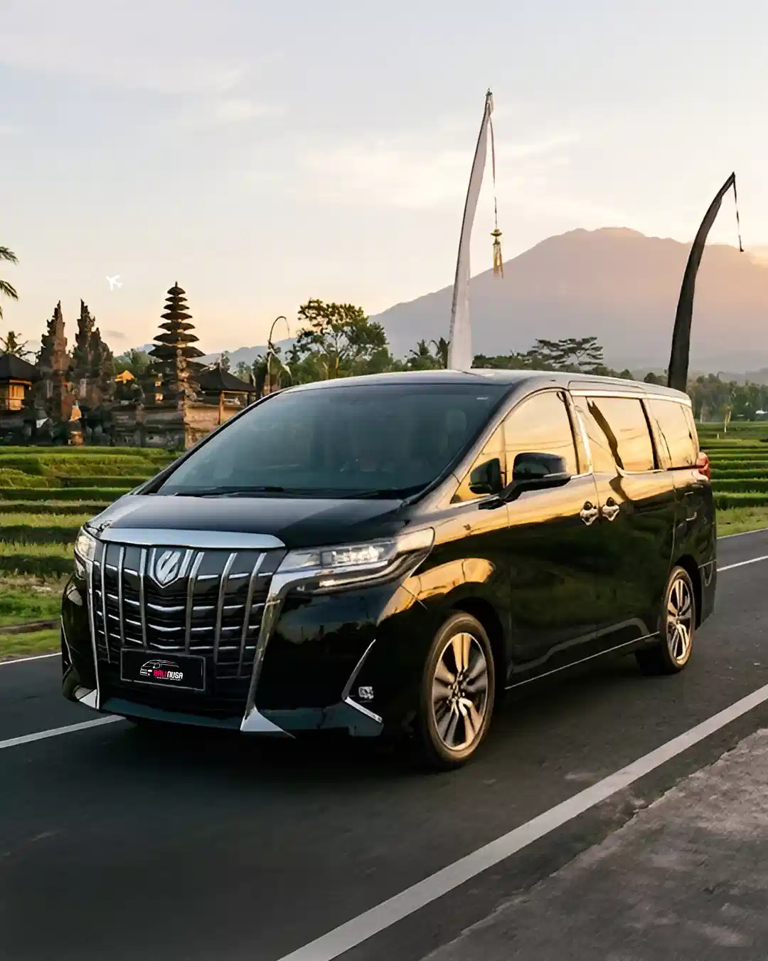 Bali Car Rental with Driver - Toyota Alphard and Private Driver Service