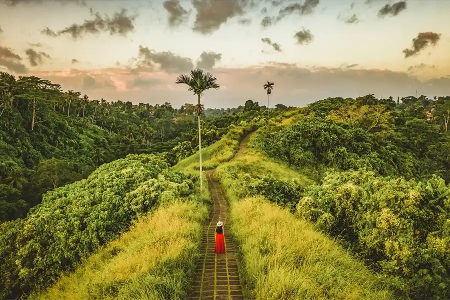 Campuhan Ridge Walk Ubud Bali