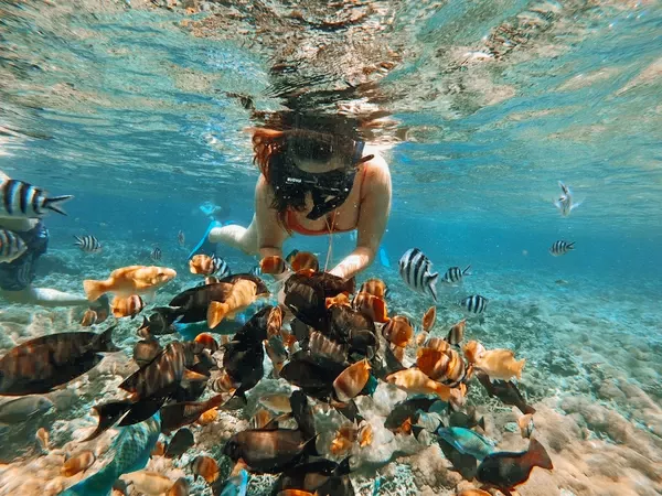 Snorkelling and Diving with Tropical Fish in Bali