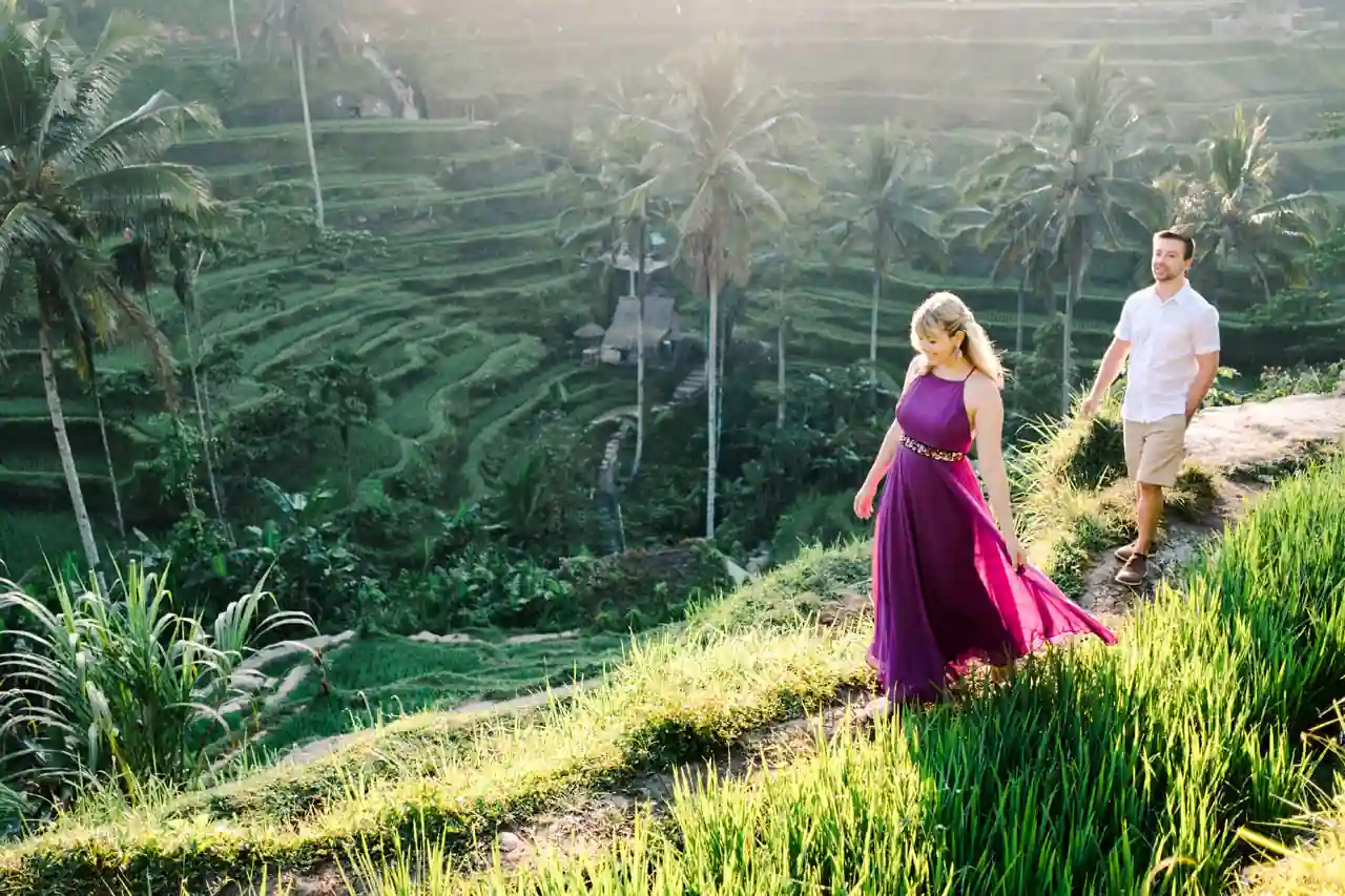Detailed view of the layered rice terraces